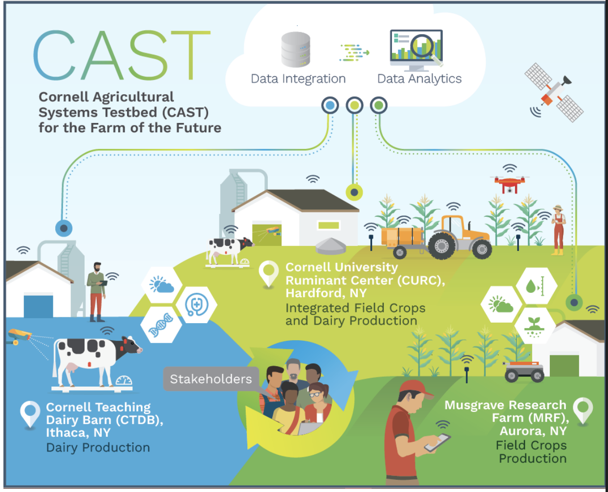 Diagram of CAST's three farms - Cornell University Ruminant Center, Cornell Teaching Dairy Barn, and Musgrave Research Farm - and its stakeholder network